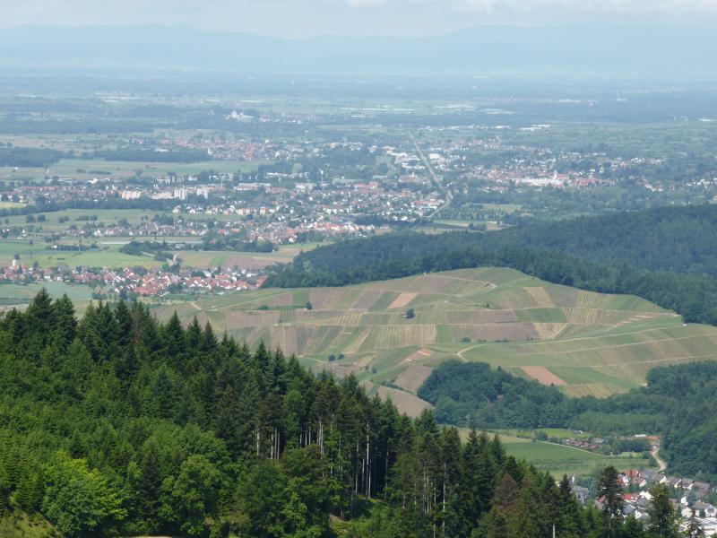 Auf der Schwarzenburg -