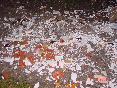 Hat grade gereicht für einen 50 Liter Mülleimer