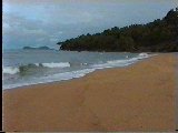 Strand bei Port Douglas