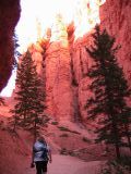 Bryce Canyon