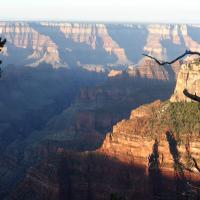 Sonnenaufgang am Bright Angel Canyon NR&nbsp;(17. Aug 2013, 03:08:08)
