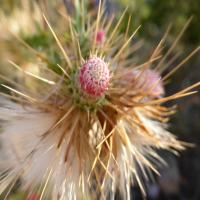 &nbsp;(17. Aug 2013, 03:08:19)