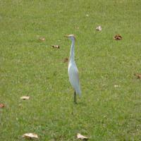 &nbsp;(19. Aug 2013, 09:25:52)