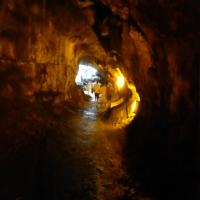 Thurston Lava Tube&nbsp;(22. Aug 2013, 10:45:10)