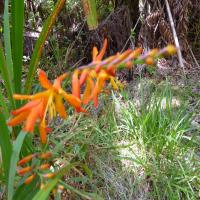 &nbsp;(22. Aug 2013, 10:45:32)