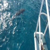 &nbsp;(24. Aug 2013, 05:21:22)