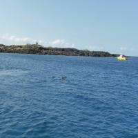 &nbsp;(24. Aug 2013, 05:21:57)