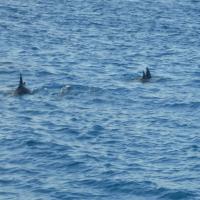 &nbsp;(24. Aug 2013, 05:22:36)