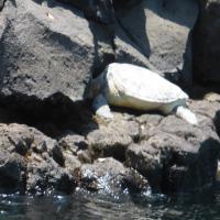 &nbsp;(24. Aug 2013, 05:25:18)