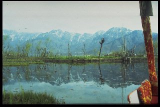 Dal Lake, Srinagar