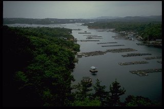 Mikimoto Pearl Island