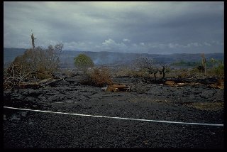 Hier gl&uuml;hts noch